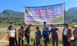 Đoàn viên thanh niên các địa phương sôi nổi hoạt động tình nguyện mùa Đông 2024