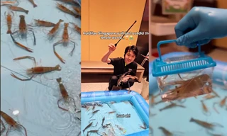 Nhà hàng lẩu ở Singapore chơi lớn gây trầm trồ: "Hồ" câu tôm ngay trong nhà