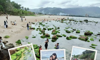 Đà Nẵng: Mùa rêu xanh trên rạn Nam Ô lại về, rủ hội bạn thân check-in thôi!