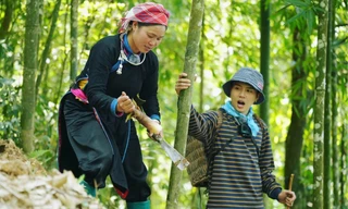 Gia Đình Haha: Chị Thông và Duy Khánh giao lưu với khán giả, liên tục "quăng miếng"