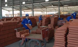 Nhờ chính sách kịp thời được cơ cấu lại thời hạn trả nợ nguồn vốn trung và dài hạn, được vay vốn lưu động màCông ty CP Gạch gói Đất Việt đã hồi sinh