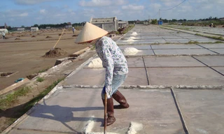 Muối ăn tại vùng cá chết đạt yêu cầu làm thực phẩm