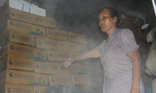 Chị Nguyễn Thị Nguyệt, chủ cơ sở đông lạnh Nguyệt Quyền buồn bã bên hàng tỷ đồng tiền cá nhập về từ Hàn Quốc từ tháng 3 vẫn còn nguyên vẹn (Ảnh 5).