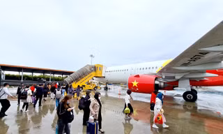 Các hãng hàng không khai thác 643 chuyến bay trong ngày 5/2