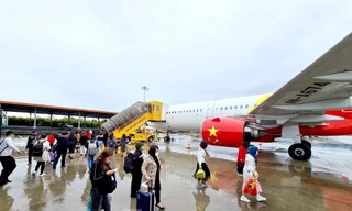 Ngay cao điểm nhất dịp Tết Nguyên đán Tân Sửu sẽ có hơn 1.200 chuyến bay được các hãng khai thác.