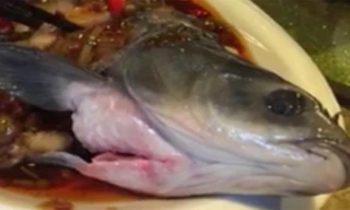 Kinh hãi cá nấu chín vẫn nhúc nhích trên đĩa