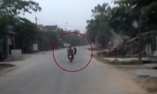 Cẩu tặc dùng thòng lọng bắt chó bị camera ghi hình