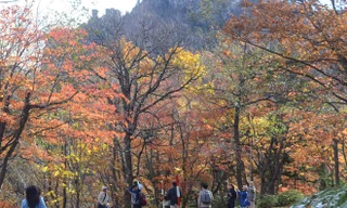 Ngất ngây với lá đỏ, tuyết non ở Nhật Bản