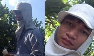 Lệ Rơi về quê trồng ổi sau cú sốc thua lỗ trăm triệu