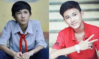 Thiều của Hoa vàng trên cỏ xanh nổi tiếng tại trường