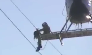 Dùng trực thăng giải cứu chim mắc kẹt trên dây điện