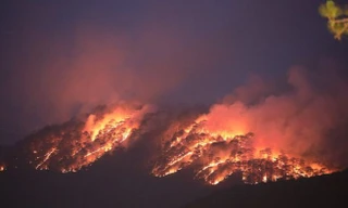 Vụ cháy lớn đỏ trời tại rừng thông Đà Lạt đã được dập tắt