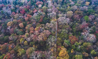 Vườn Quốc gia Cát Tiên chính thức đạt danh hiệu Danh lục Xanh IUCN