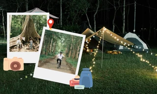 Tọa độ check-in xanh: Nào mình cùng trốn nóng ở Vườn quốc gia Nam Cát Tiên