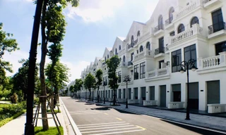 Dòng tiền đang đổ mạnh vào phân khúc biệt thự, nhà liền kề