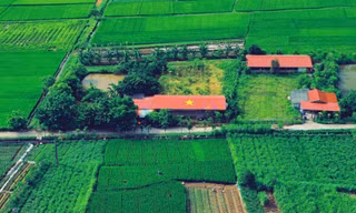 Lá cờ đỏ sao vàng rực rỡ trên mái nhà