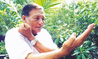 Rồng trắng ra đòn