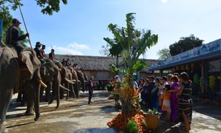 Độc đáo lễ cúng Thần Voi báo tin con gái có chồng
