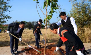 Lãnh đạo tỉnh cùng trồng cây với đồng bào Ê Đê