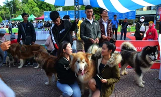 Ban giám khảo, Trọng tài các cuộc thi nhận cúp lưu niệm Lễ hội Thú cưng