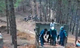 Kon Tum: Tiêu hủy hàng trăm con heo lở mồm long móng