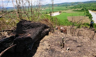 Một vạt rừng đặc dụng gần trạm kiểm lâm số 8 bị đốt phá để làm rẫy 