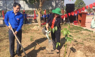 Trồng cây xanh sau lễ phát động