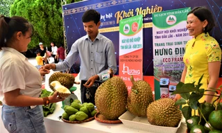 Đôi vợ chồng Hưng-Định giới thiệu sản phẩm của nông dân xã vùng sâu huyện Krông Năng