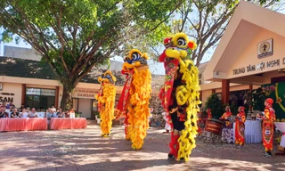 Các du khách Pháp liên tục vỗ tay tán thưởng đoàn lân sư rồng Nhân Nghĩa Đường