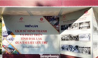 Triển lãm đầy sạn khiến công chúng phiền lòng