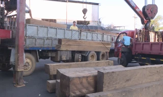 Giám đốc công an tỉnh trực tiếp chỉ đạo truy quét lâm tặc