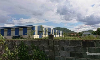 Doanh nghiệp Phú Lợi tại Khu công nghiệp Tâm Thắng