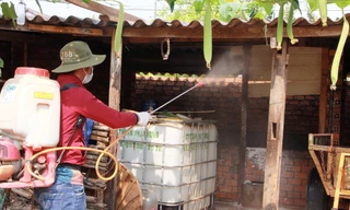 Cán bộ địa phương đi chống dịch trên đàn lợn 