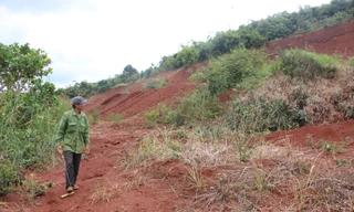  Dự án Đoàn ca múa Đắk Nông nay là bãi đất trống