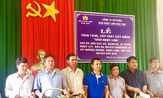 Công ty sâm Ngọc Linh đã trao tặng tổng cộng 46.500 cây sâm Ngọc Linh giống cho người dân ở 2 huyện ở Kon Tum