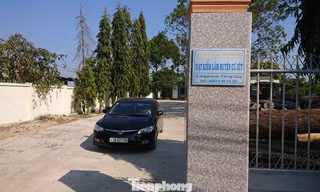 Hạt Kiểm lâm huyện Cư Jút
