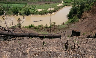 Rừng đặc dụng thiên nhiên Nam Kar bị huỷ hoại nghiêm trọng.