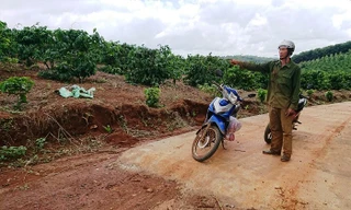 Đường bê tông “nắn” vào rẫy của ông Trần Đình Hạnh - Giám đốc Công ty TNHH MTV Xây dựng HBBT rồi dừng