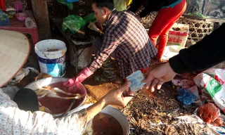 Mỗi con gà làm xong có giá 20 nghìn