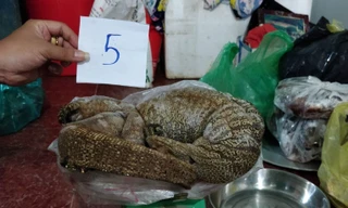 Công an huyện Đắk R'lấp bắt quả tang vụ buôn bán động vật quý hiếm