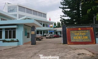 Chi cục Kiểm lâm tỉnh Đắk Lắk