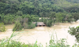 Thủy điện Buôn Kuốp xả nước ồ ạt khiến cho nhiều tài sản của người dân bi nhấn chìm trong nước