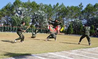 Biểu diễn võ thuật của đại đội trinh sát tỉnh