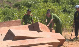 Hiện trường vụ phá rừng tại lâm phần của Công ty TNHH MTV Lâm nghiệp Ea Ka