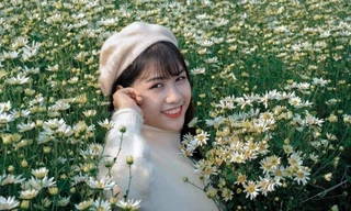 Vườn cúc Hoạ mi tại Nam Định thu hút giới trẻ đến chụp ảnh - Ảnh: Hoàng Long