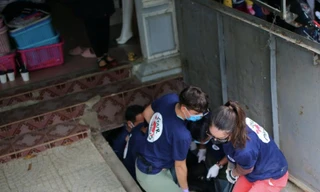 2 cá thể gấu ngựa nặng gần 300 kg được giải cứu khỏi chuồng nuôi tại một nhà dân ở Sông Mã, Sơn La - Ảnh: FOUR PAWS