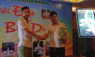 Chậu lan chục tỷ đồng được chuyển giao cho chủ mới - Ảnh: Hoàng Long