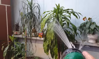 Đường điện hở truyền dẫn theo nước khi tưới cây khiến 2 vợ chồng tử vong - Ảnh: Hoàng Long