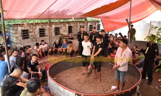 Các "con bạc" bị bắt quả tang tại sới gà - Ảnh: Công an Ninh Bình cung cấp