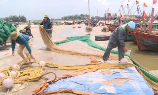 Ngư dân Thái Bình thu lưới, đưa tàu bè vào bờ tránh bão số 3 - Ảnh: Hoàng Long